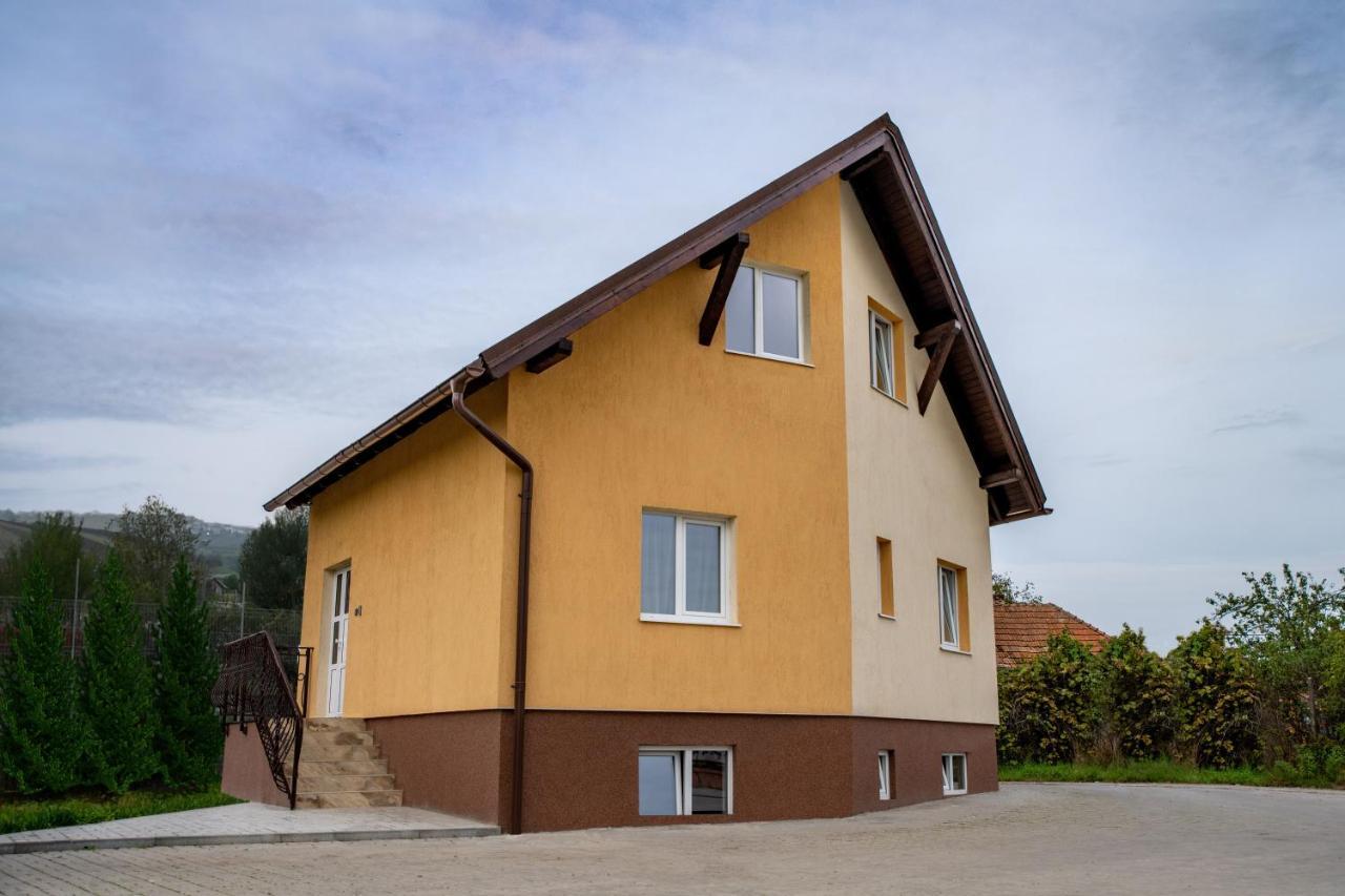 Pensiunea Zbor Cluj-Napoca Exterior photo